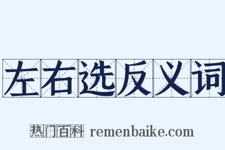 左右选反义词是什么意思的图片